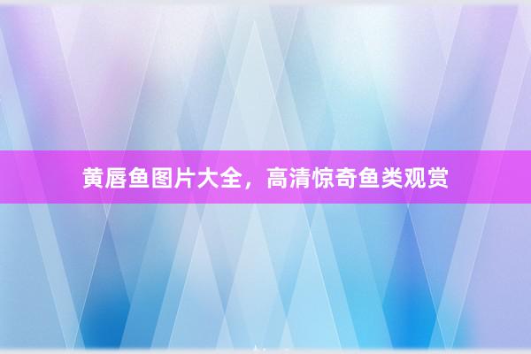 黄唇鱼图片大全，高清惊奇鱼类观赏