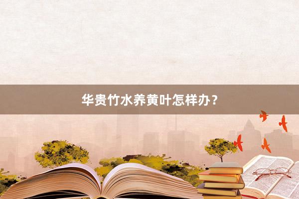 华贵竹水养黄叶怎样办？