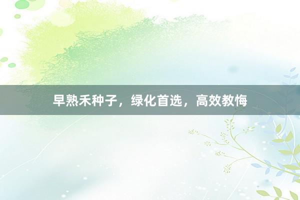 早熟禾种子，绿化首选，高效教悔